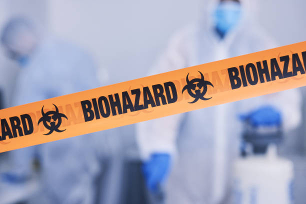 Professional Odor Removal technician working in Meredith, NH